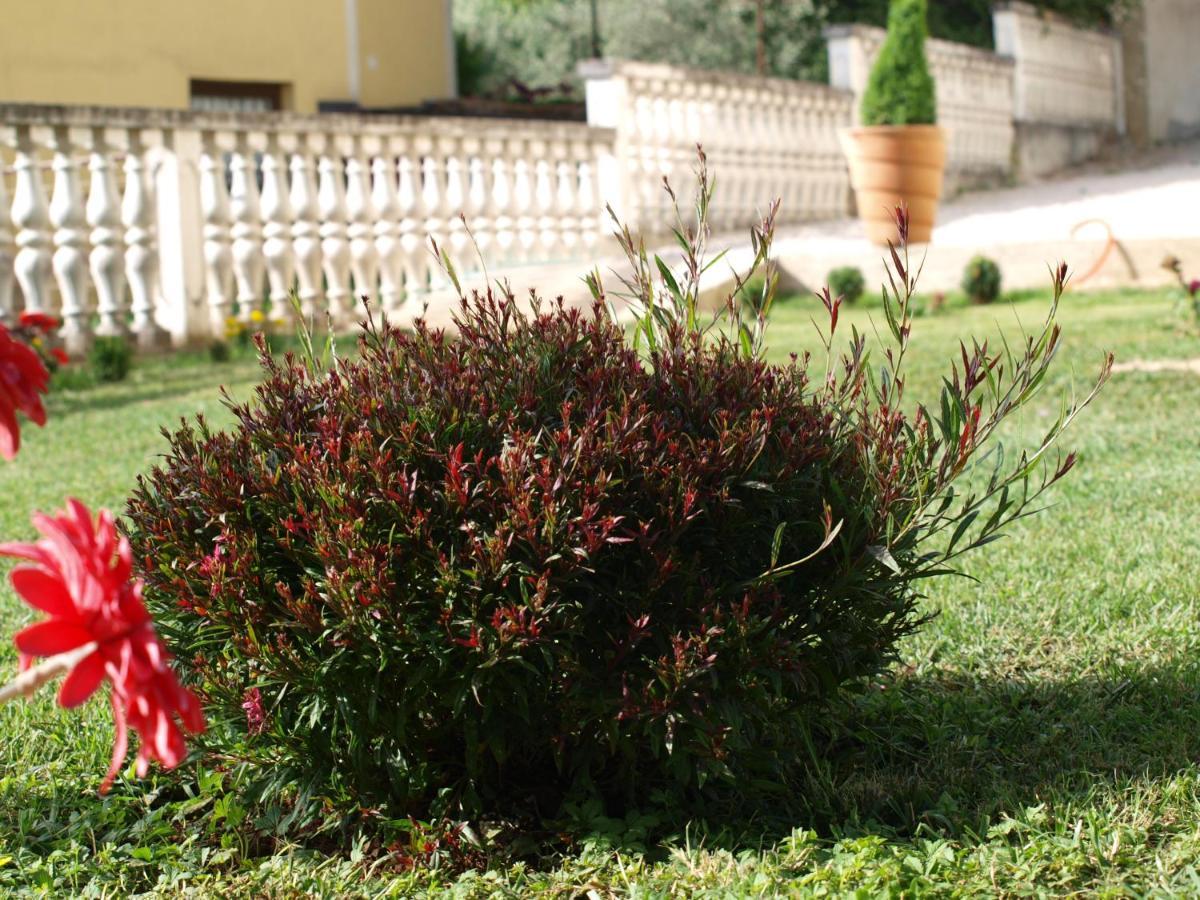 Apartments Mirasol Umag Luaran gambar
