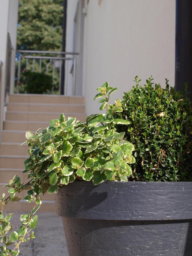 Apartments Mirasol Umag Luaran gambar